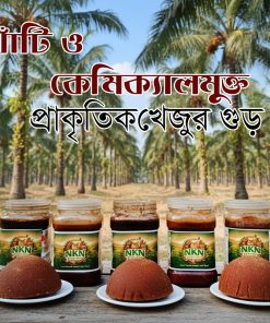 Alternative view of খেজুরের পাটালি গুড় । Khejur Patali Gur